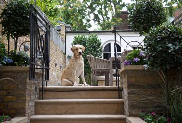 Exquisite Town-house. Luxurious garden.  Taylor Interiors.