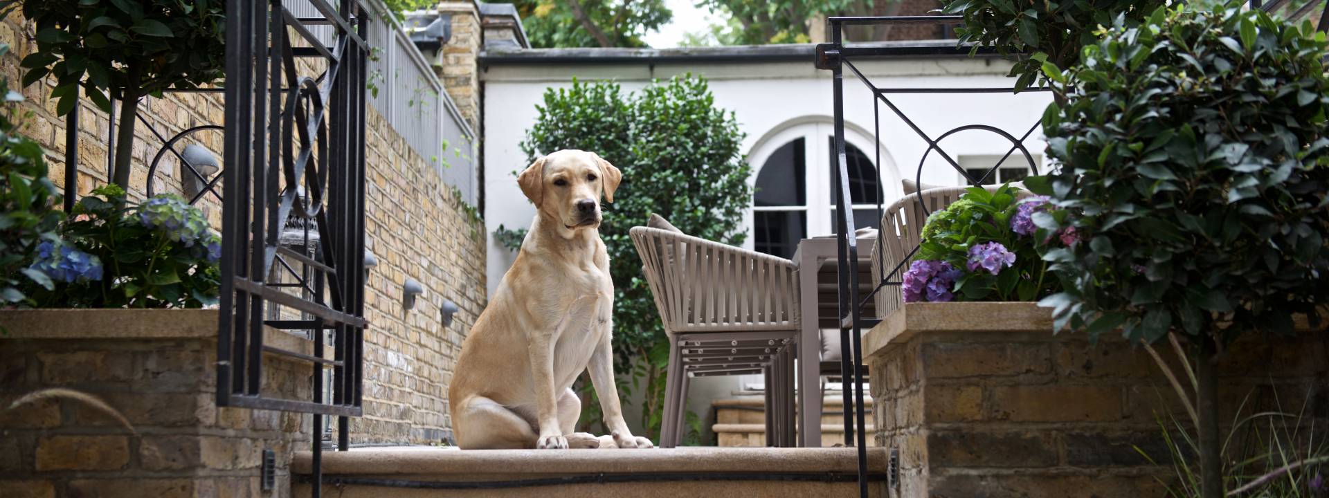 Exquisite Town-house.  Stunning garden. Taylor Interiors.